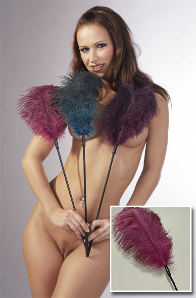 Sensuele veren