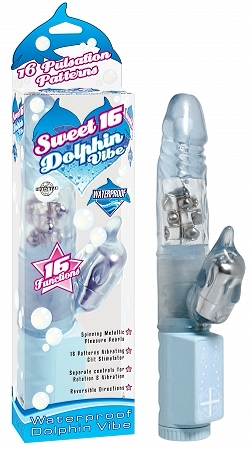 Sweet 16 Dolphin Vibe