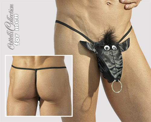 Fun String Stier