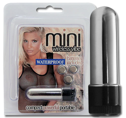 Mini Wireless Vibe Zilver