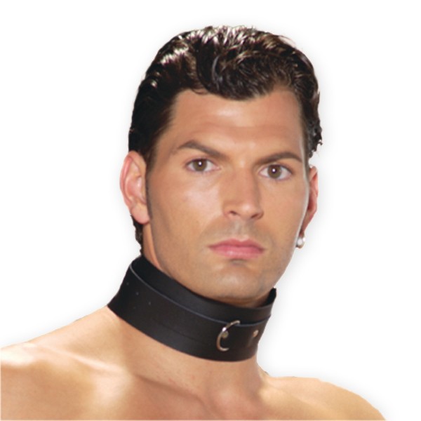 Lederen collar met D-ring