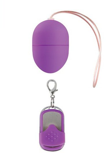 10 Speed Remote Vibrating Egg Purple