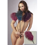 Sensuele veren