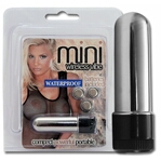 Mini Wireless Vibe Zilver